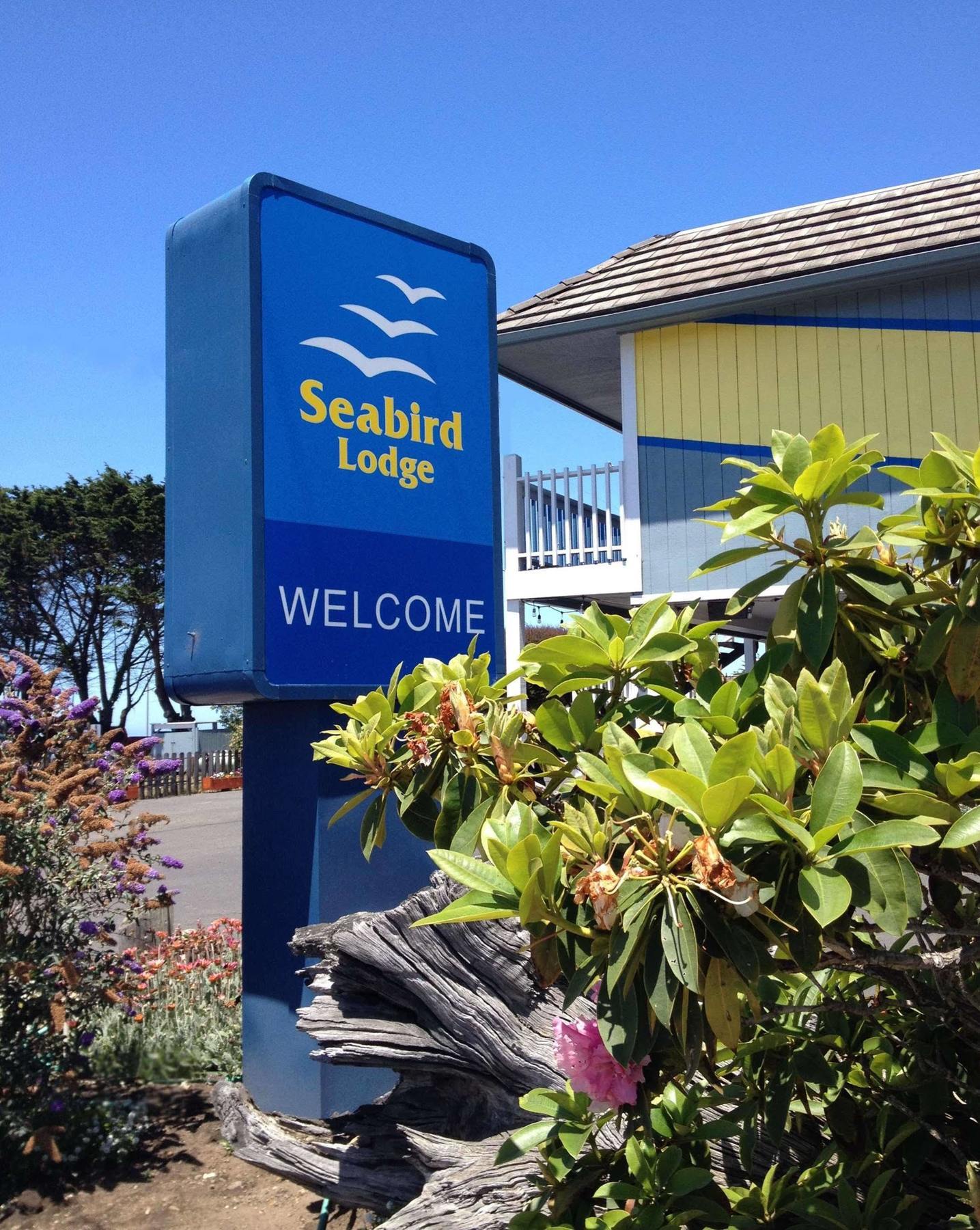Seabird Lodge Fort Bragg Exteriér fotografie